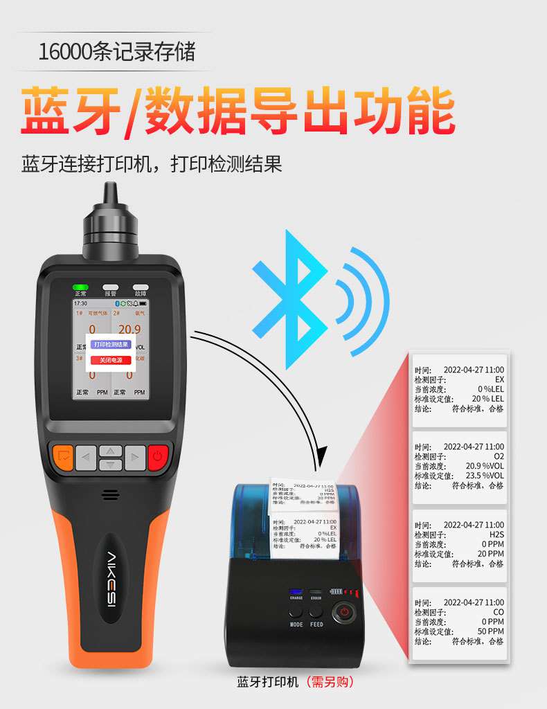 愛德克斯BX-168泵吸式氣體檢測儀6.jpg