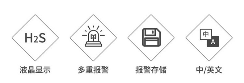愛德克斯JLH100礦用硫化氫檢測(cè)儀2.jpg