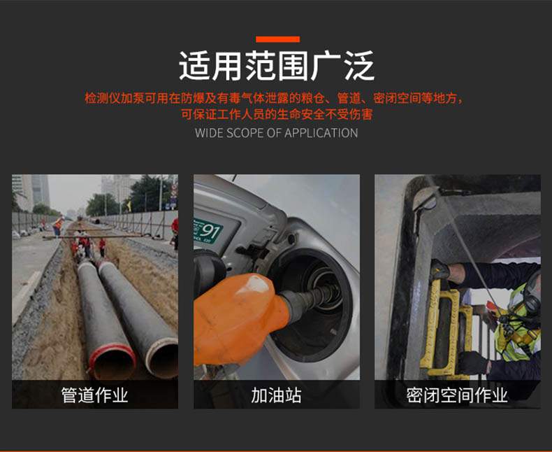 愛德克斯B-1氣體采樣泵3.jpg